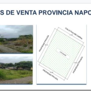 Terreno en NAPO