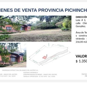 Bienes en PICHINCHA