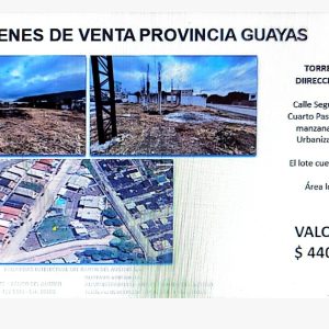Bienes en GUAYAS