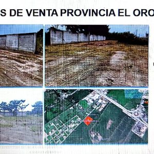 Bienes prov.de el ORO