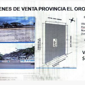 Bienes prov. De el ORO