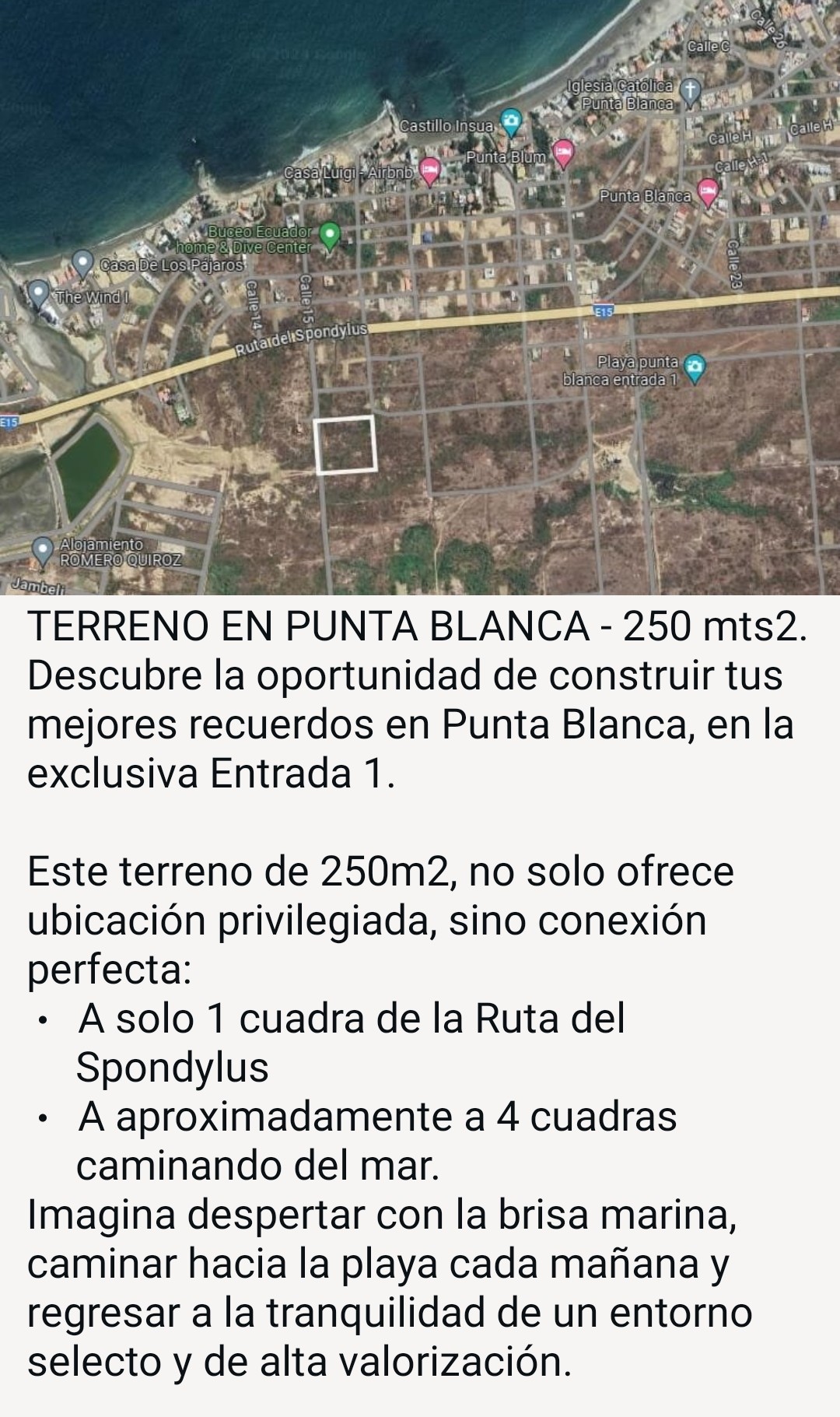 Hermoso terreno en Punta blanca