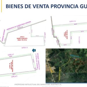 GUAYAS -DAULE 3 lotes