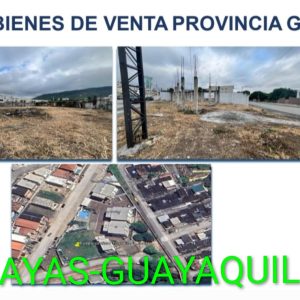 GUAYAS -GUAYAQUIL